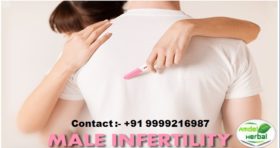 Male Infertility 