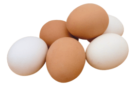eggs to increase penis size