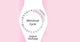Relation Between Vaginal Discharge And Menstrual Cycle