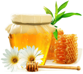 honey to increase penis size