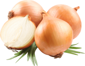 onions to increase penis size