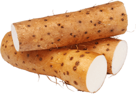 Wild Yam for breast enlargemnt