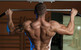 Back Muscle Exercises