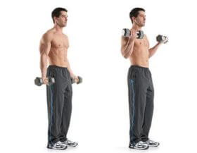 Biceps And Arms Exercises