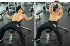 Chest Muscle Exercises