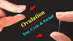 Ovulation